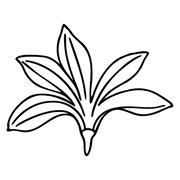 Saltflower 的标志